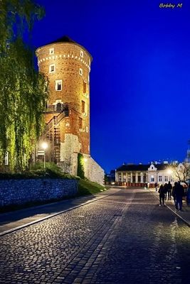 Castle watchtower