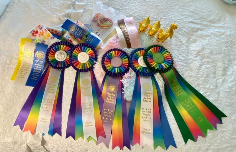 Ribbons and prizes