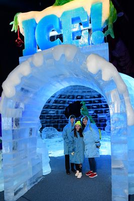 D85_0010.jpg