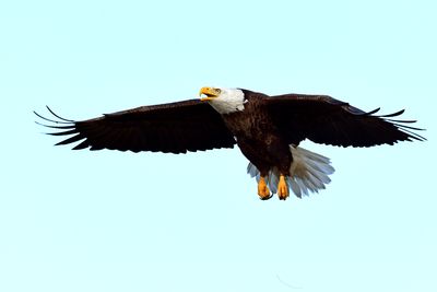 D85_2304 copy.jpg