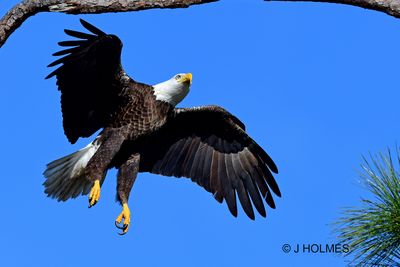 D85_2659 copy.jpg