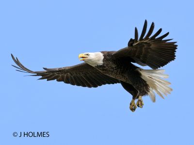 Z9H_3873 B copy.jpg