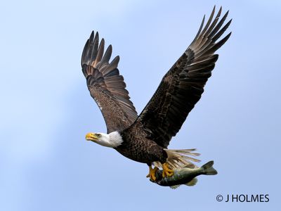 Z9H_4219 copy.jpg