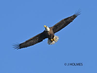 Z9H_2080 copy.jpg