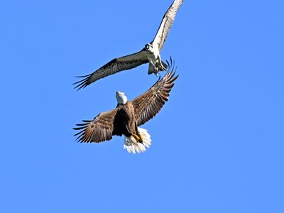 Z9H_2341 copy.jpg