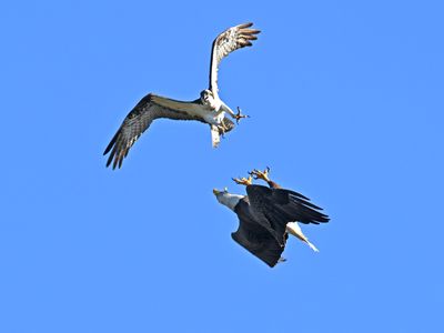 Z9H_2344 copy.jpg