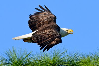Z9H_6402 copy.jpg
