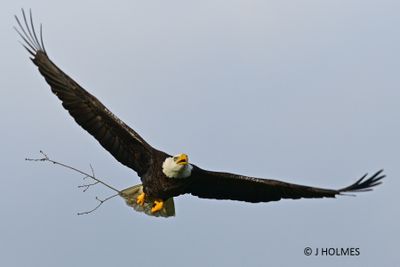 Z9H_8473 copy.jpg