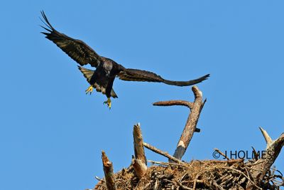 Z9H_1734 copy.jpg