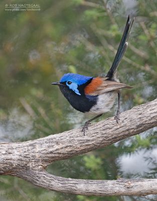 Australia Trip, November 2024