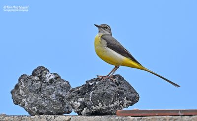 La Palma trip June 2025