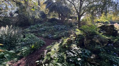 Le Jardin des Plantes. 5me