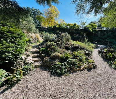 Le Jardin des Plantes. 5me