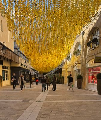 Paris 8ème