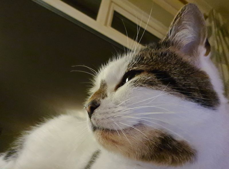g13/35/663235/2/173228766.04a502e1.JPEG