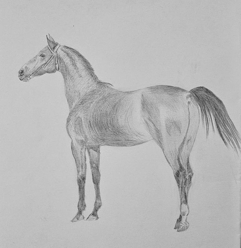 horse_drawings