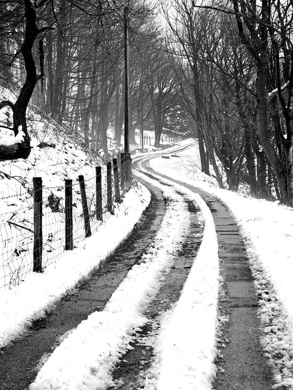 monochrome
