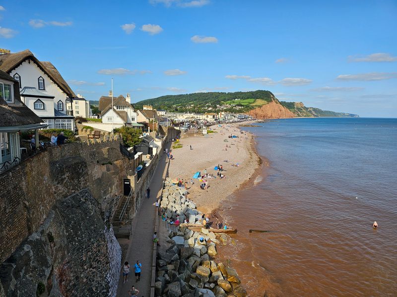 devon_august_2024
