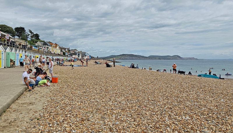 devon_august_2024