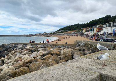 g13/35/663235/3/173459812.a011d415.JPEG