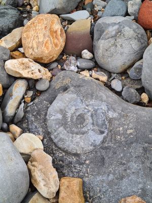 g13/35/663235/3/173459818.d3dce5e1.JPEG