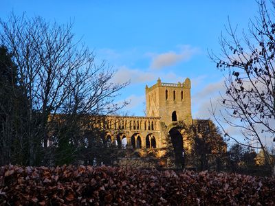 kelso_jan_2024