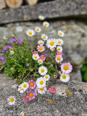 g13/35/663235/3/175352881.26e7b804.JPEG