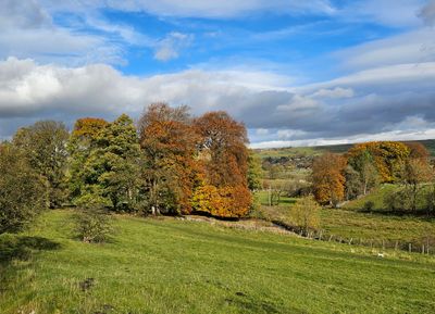 wharfedale_with_peter