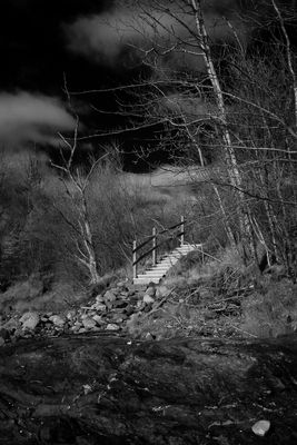 g13/35/664835/3/175150805.6e156039.JPEG