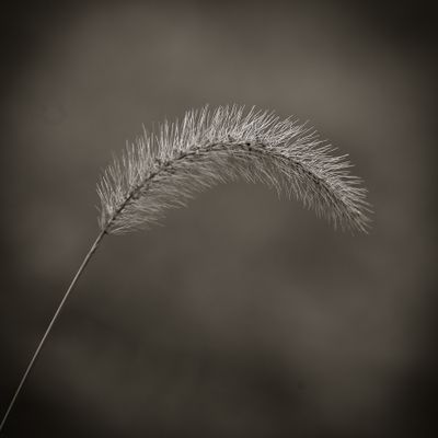 g13/35/664835/3/175165652.85fdf1eb.JPEG
