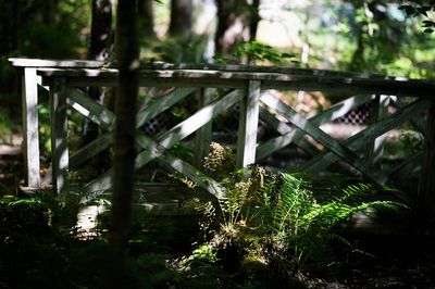 Pathways, Roads, and Bridges