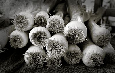 Leeks