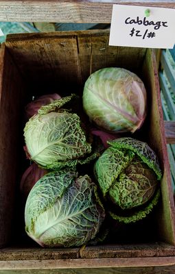Cabbages
