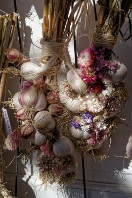 Garlic and Flower Bunches