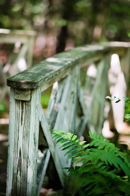 Pathways, Roads, and Bridges