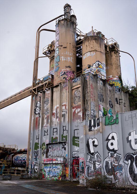 Abandoned Plant
