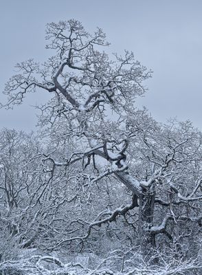 February 6
