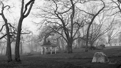 g13/35/671635/3/175286122.d546f8a4.JPEG