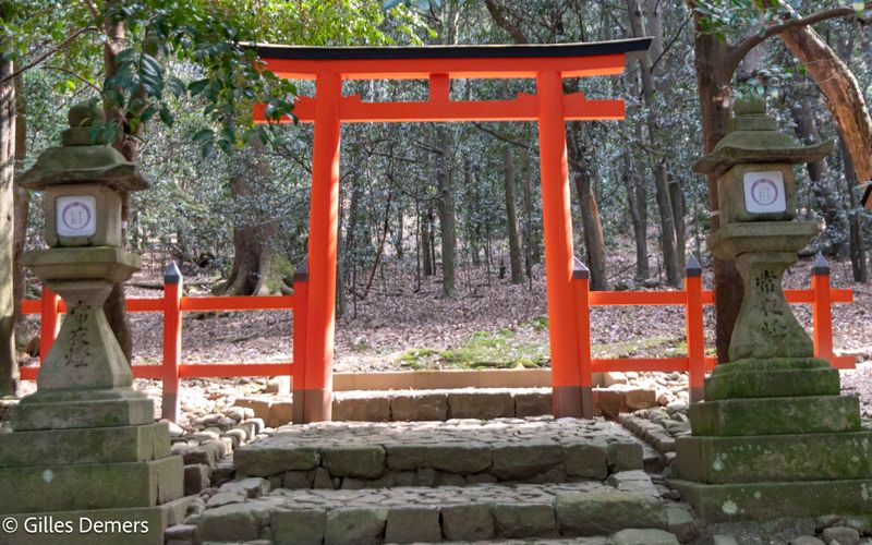 Tori (portail)  l'entre du temple Todaiji.