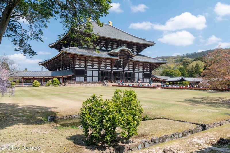 Temple de Fushimi Inari