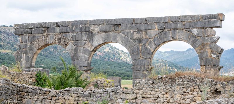 Volubilis
