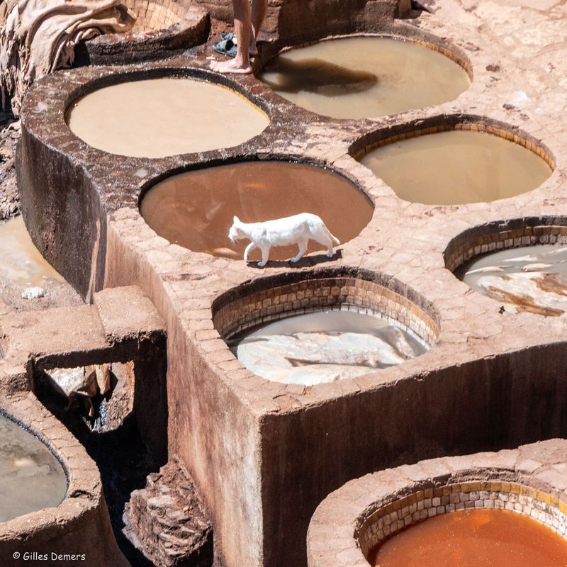 Fs: le souk des tanneurs.