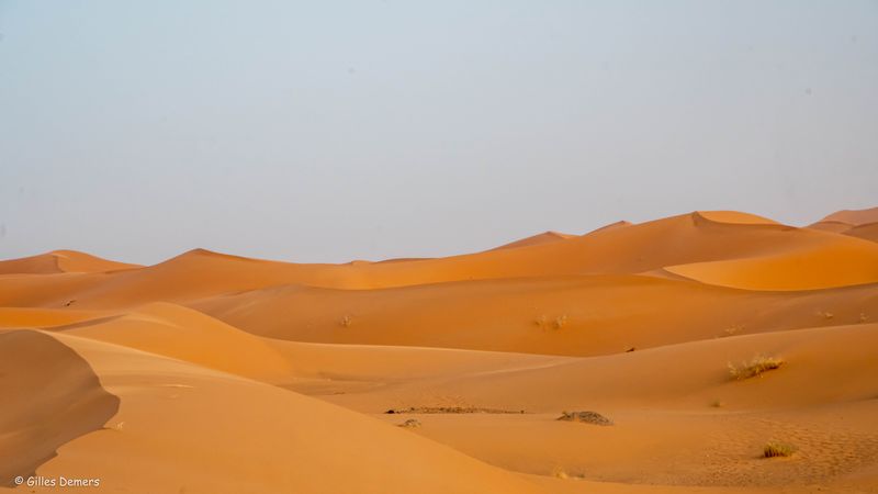 Les dunes de lerg Chebbi. 