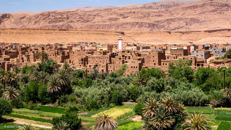 La grande palmeraie de Tinghir.