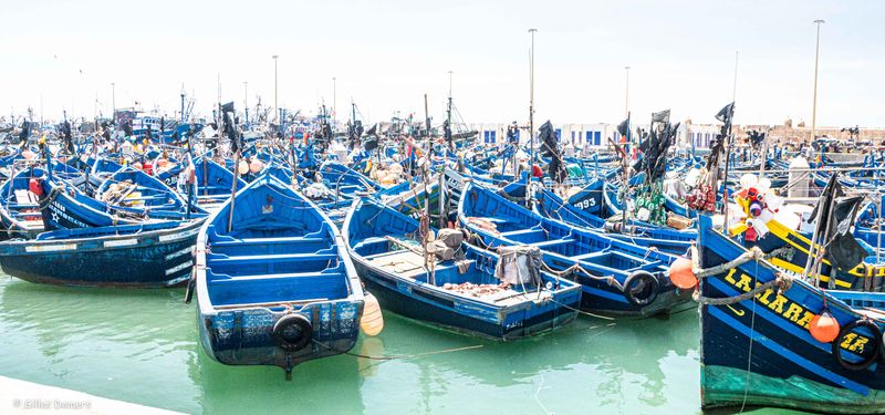  Essaouira 