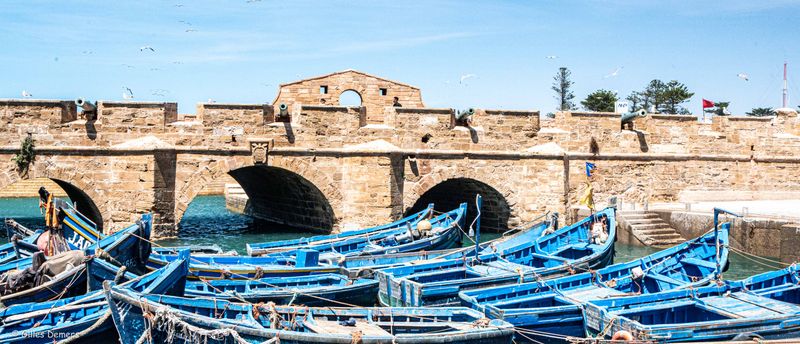 Le port de Essaouira