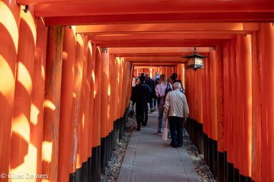 Temple de Fushimi Inari