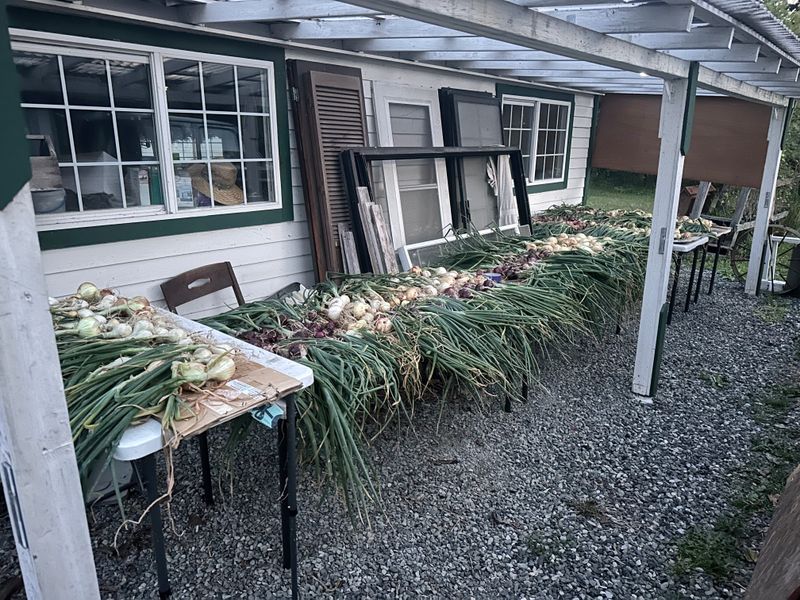 Harvest of Goodwill