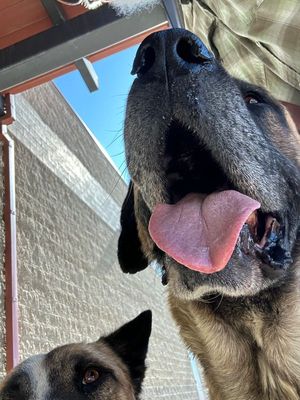 Reservation Dogs