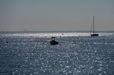 _Z609444.jpg
